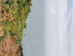 -广东惠东海龟国家级自然保护区