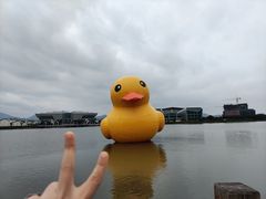 -琅岐红光湖公园