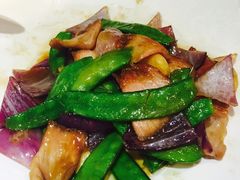 -九毛九西北菜(大东海店)