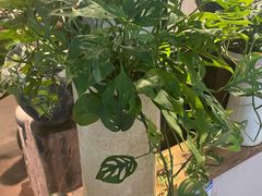 -朝来春花卉市场-东停车场