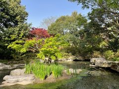 -上海滨江森林公园