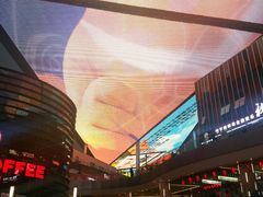 -石狮世茂摩天城摩天轮