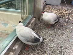 -青藏高原野生动物园