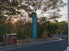 -九里河湿地公园