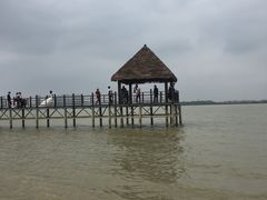 -瑶湖郊野森林公园