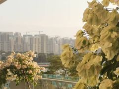 -五缘湾游艇帆船俱乐部