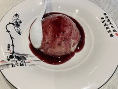 -丁老爷子苏香圆