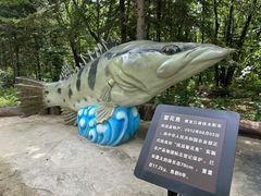 -茅兰沟国家森林公园
