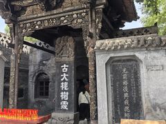 -大槐树寻根祭祖园