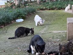 -T80科技文化国际社区-停车场