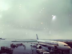 -新加坡航空公司(ION)