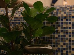 -Sirena海妖日咖夜酒