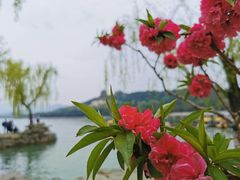 -颐和园