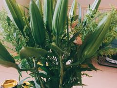 -巧燕坊一笼一蒸(庆春广场地铁站店)