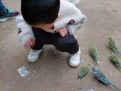 -呀路古热带植物园