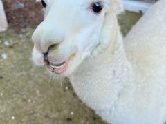 -金庭庄园酒店-停车场