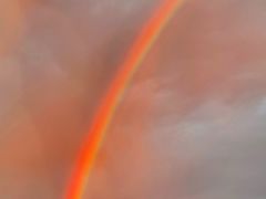 -谢列梅捷沃国际机场