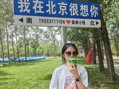 -森林小栈TreeStation露营基地
