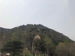 -北京鹫峰国家森林公园
