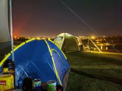 -春花秋色城市公园