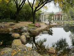-郑东新区湿地公园
