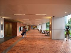 -香港大学