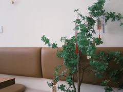 -Reset Coffee 与海咖啡