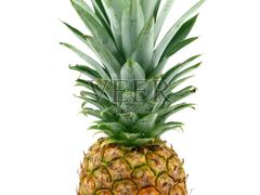 -源华酒家(联世广场店)