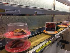自助取餐区-京樽回転寿司(奥林匹克店)