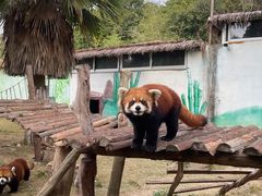 -泉州海丝野生动物世界