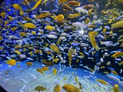 -成都浩海立方海洋公园