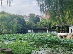 -墅园