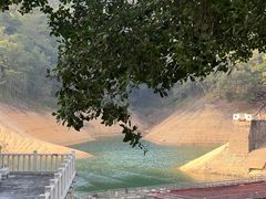 -广州市流溪河国家森林公园