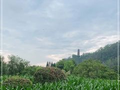 -南沙蒲洲花园