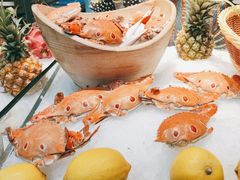 -圆顶阁西餐厅(郑州索菲特国际饭店 )