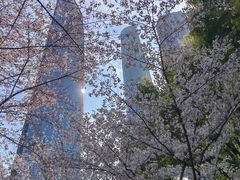 -陆家嘴中心绿地