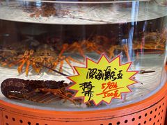 深海澳龙-万龙洲海鲜(大兴绿地缤纷城店)