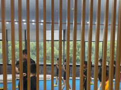 -新精武·少儿武术散打(繁花店)