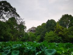 -成都杜甫草堂博物馆
