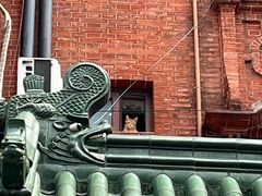 -梅龙镇酒家(南京西路总店)