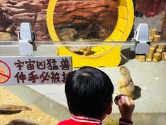 -正佳雨林生态植物园