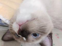 -奈雪的茶(时代天街店)