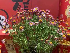 -东棠花园餐厅(湖工大店)