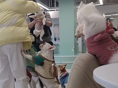 -怪兽屋·羊驼·猫咖·狗咖(俊华广场店)