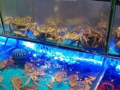 -SEA西雅图海鲜自助餐厅(海乐世界店)