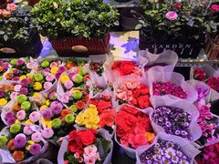 -大自然花鸟鱼虫市场