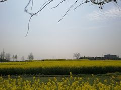 -小鱼草莓采摘园农家乐·小鱼餐厅