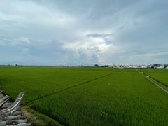 -喜林苑·稻田餐厅(品相府店)