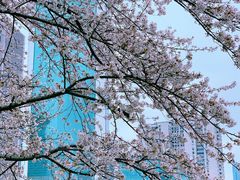 -西北湖绿化广场