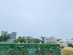 -星乐度·露营小镇